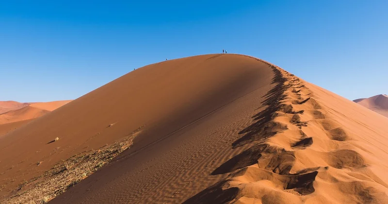 L'impact du changement climatique : un patrimoine en péril